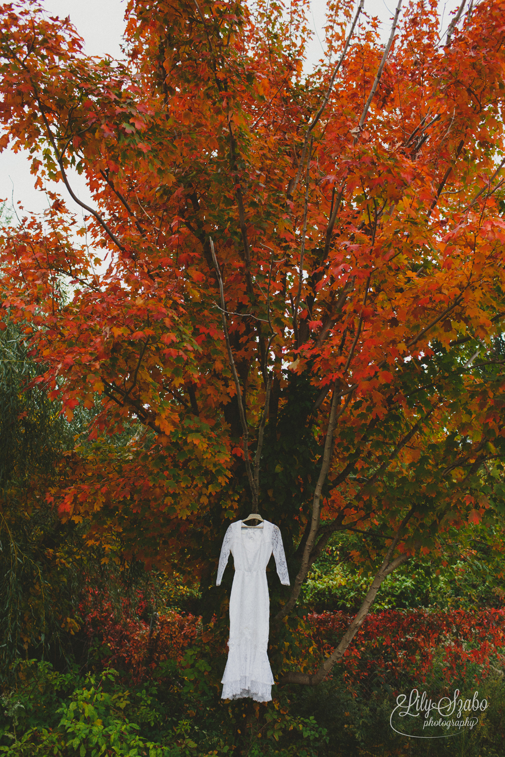 Allyson Michael Wedding In Monroe Nj Lily Szabo Photography