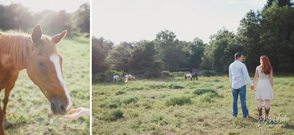 Lauren + Brian Engagement Session