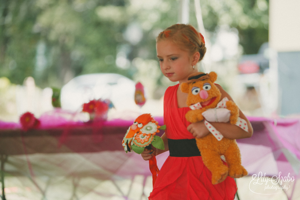 Muppet Themed Wedding in Clintondale, NY