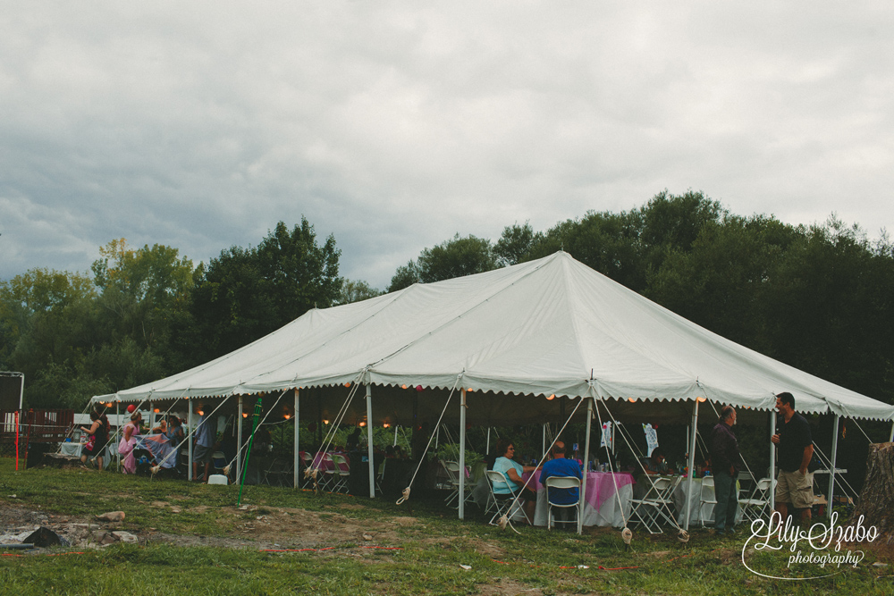 Muppet Themed Wedding in Clintondale, NY