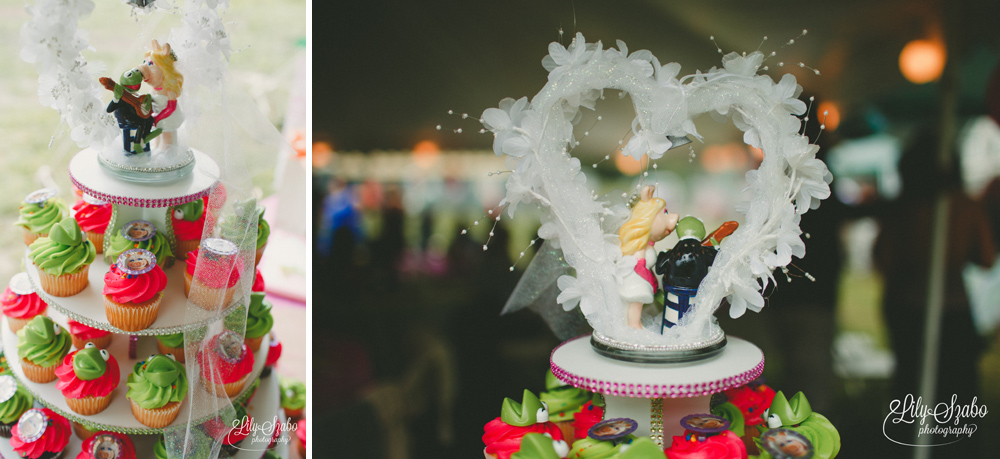 Muppet Themed Wedding in Clintondale, NY
