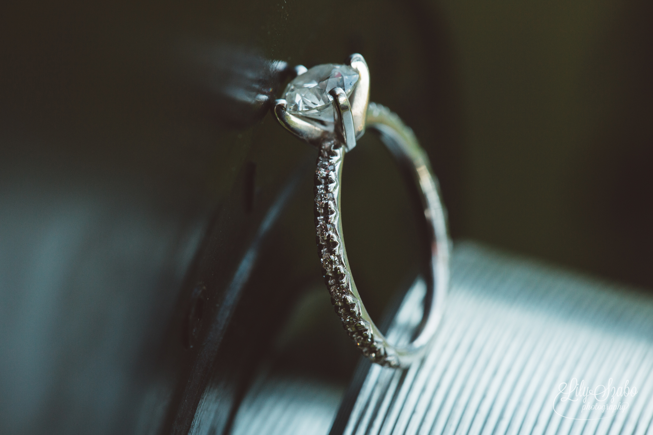 Mountain View Park Engagement Session in Middlesex, NJ