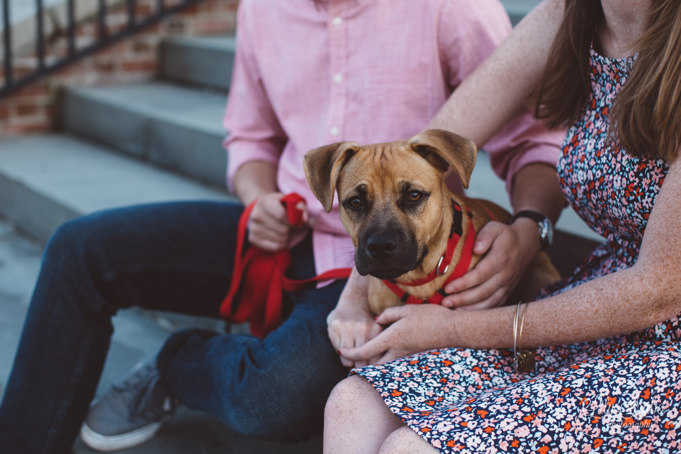 Sunrise Engagement Session in Asbury Park, NJ